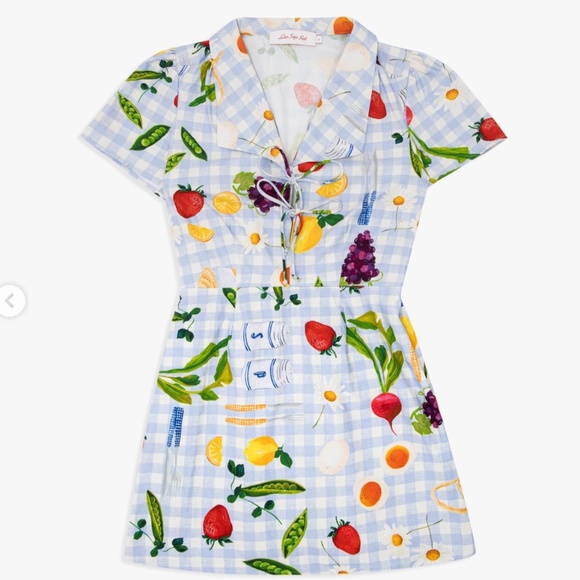 Lisa Says Gah Dresses & Skirts - NWT Lisa Says Gah Picnic Alfresco Gingham Alexa Shirtdress XS